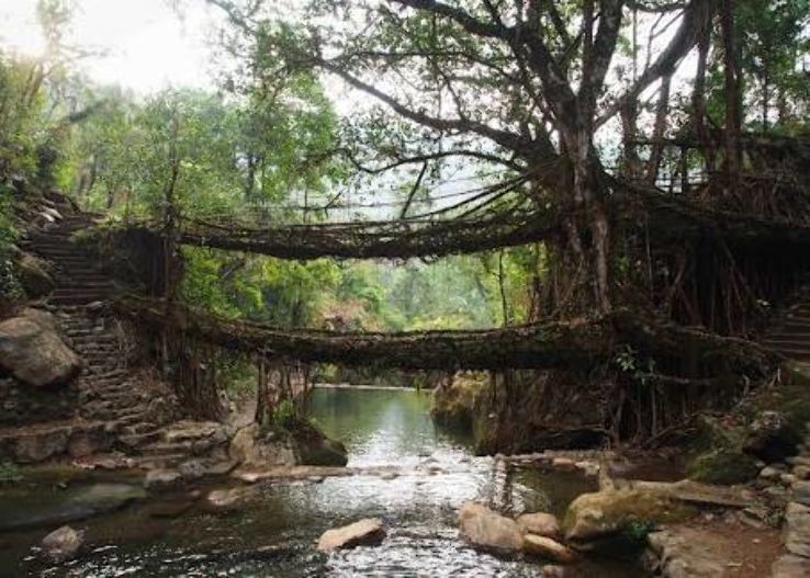 Double Decker Living Root bridge Trip Packages